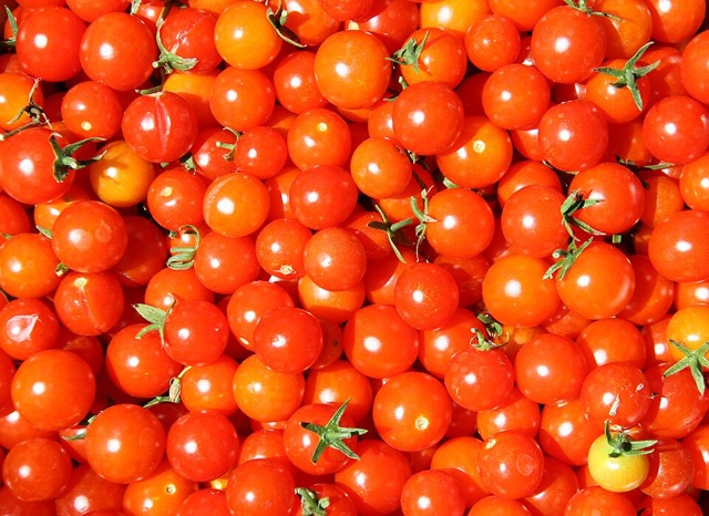 Cherry tomatoes on the vine