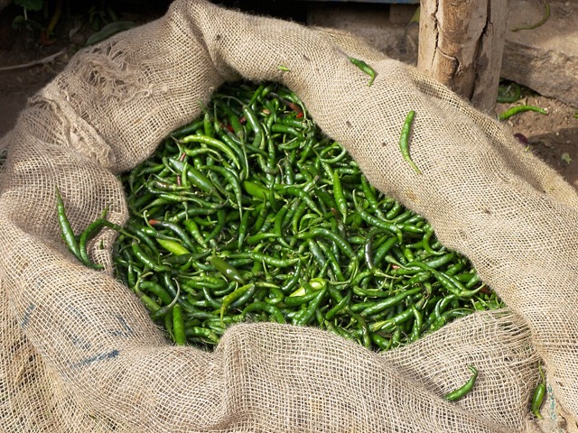 Fresh green chillies