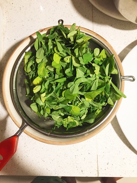 Fresh fenugreek leaves