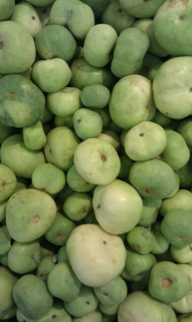 Fresh tinda gourds